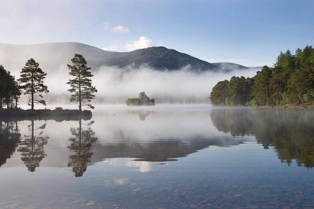 Loch an Eilien, Rothiemurchus Forest, Cairngorms National Park, Scotland, September