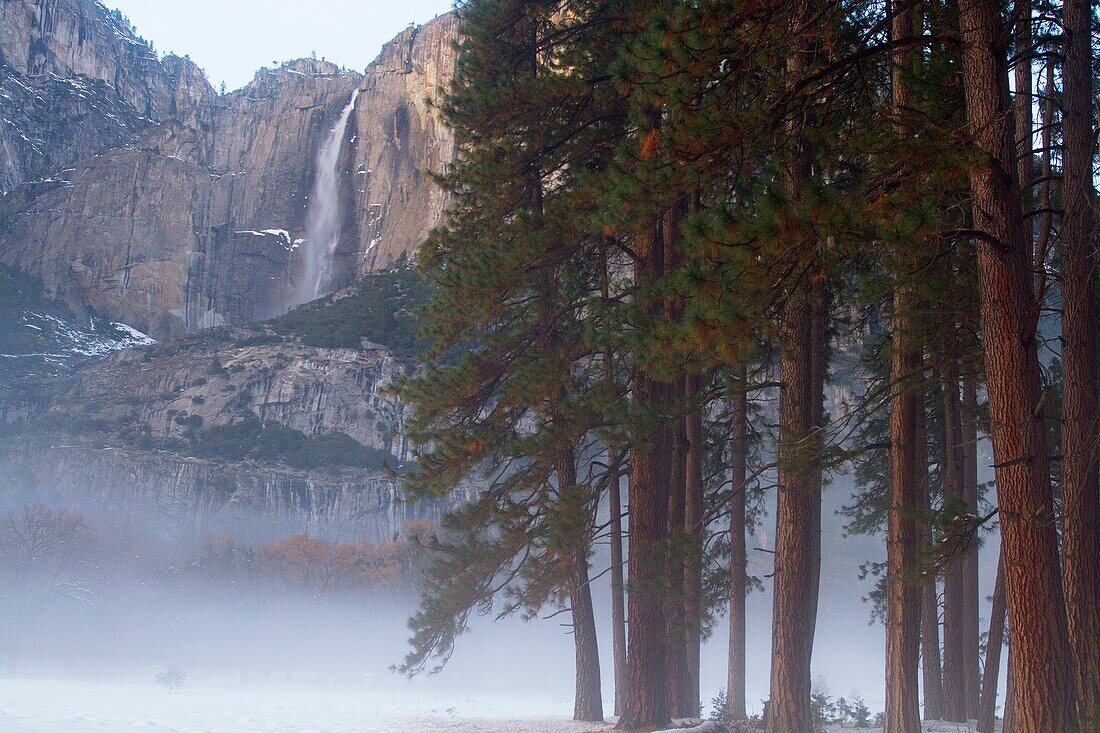 Yosemite Falls and Redwoods in winter Yosemite National Park, California, USA