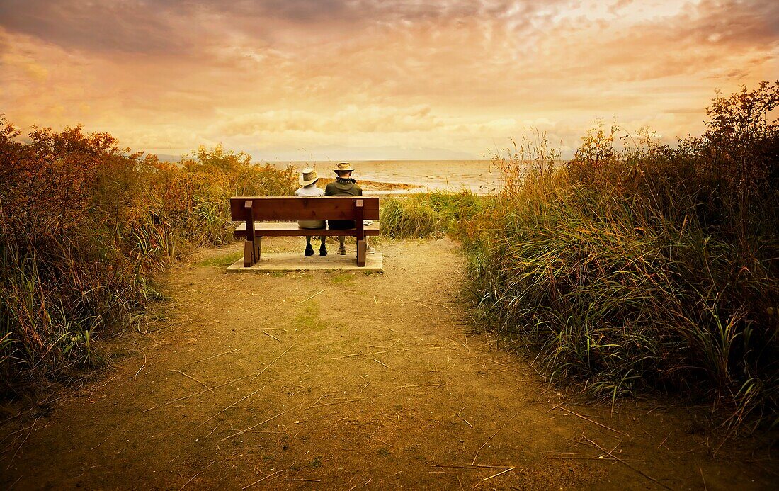 old couple on bench overlooking ocean
