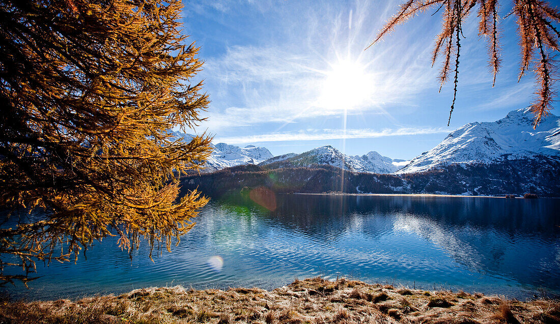 Switzerland, Europe, Engadin, Engadine, Graubünden, Grisons, autumn, mountains, Alps, alpine, lake, lake Sils, water, snow, larch, shore, wood, forest, tree, blue sky, sun, sky, scenery, alpine scenery, reflection. Switzerland, Europe, Engadin, Engadine, 