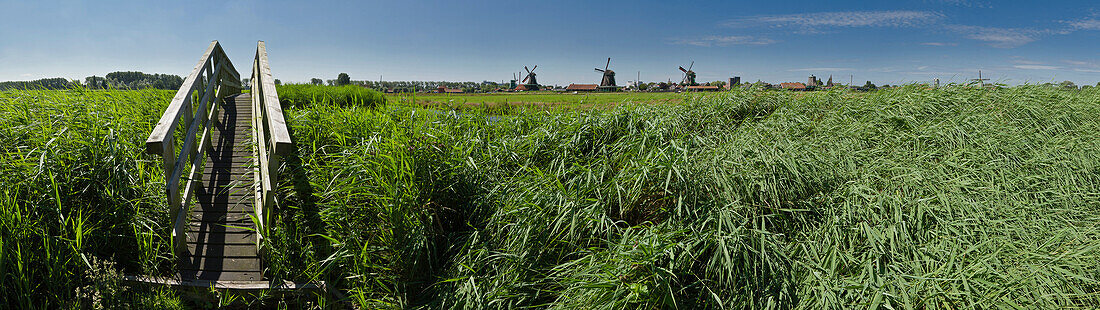 Netherlands, Europe, Holland, Zaandam, Footbridge, field, windmills, landscape, field, meadow, summer, . Netherlands, Europe, Holland, Zaandam, Footbridge, field, windmills, landscape, field, meadow, summer