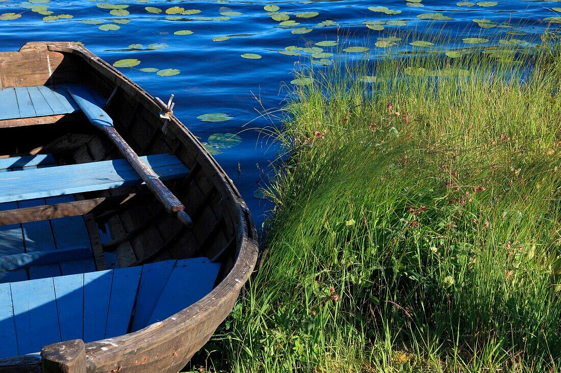 A wooden rowing-boat lies waiting on the shore of a lake in northern Sweden
