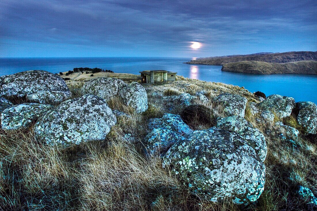 Moonlight over Godley Head near entrance to Lyttelton harbour, WWII gun emplacements in trees below and old observation post in foreground, Christchurch, Banks Peninsula, Canterbury, New Zealand