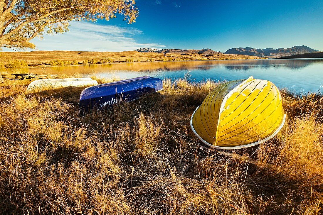 Rowing boats for trout fishermen on foreshore near baches, Lake Alexandrina Wildlife Refuge, autumn, Mackenzie country, Canterbury