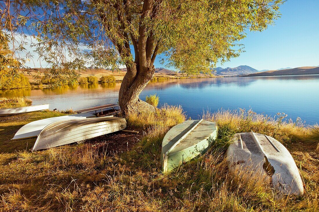 Rowing boats for trout fishermen on foreshore near baches, Lake Alexandrina Wildlife Refuge, autumn, Mackenzie country, Canterbury