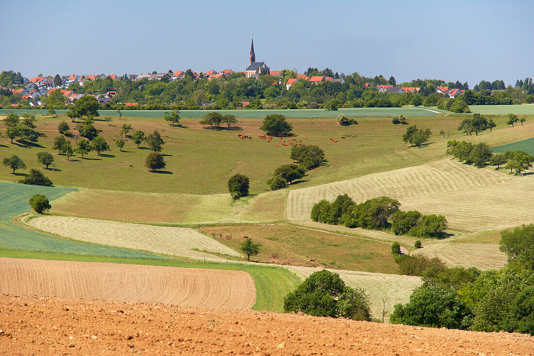Blick über Felder auf Blieskastel-Biesingen, Bliesgau, Saarland, Deutschland, Europa