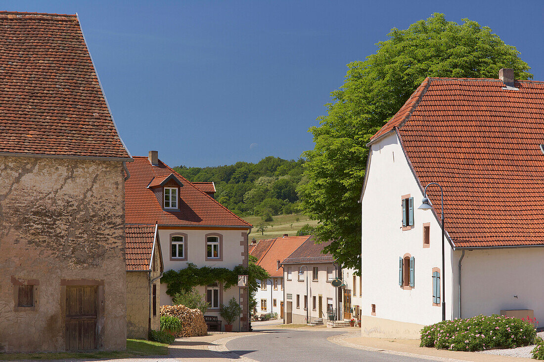 Houses at the main road at Wolfersheim, Bliesgau, Saarland, Germany, Europe