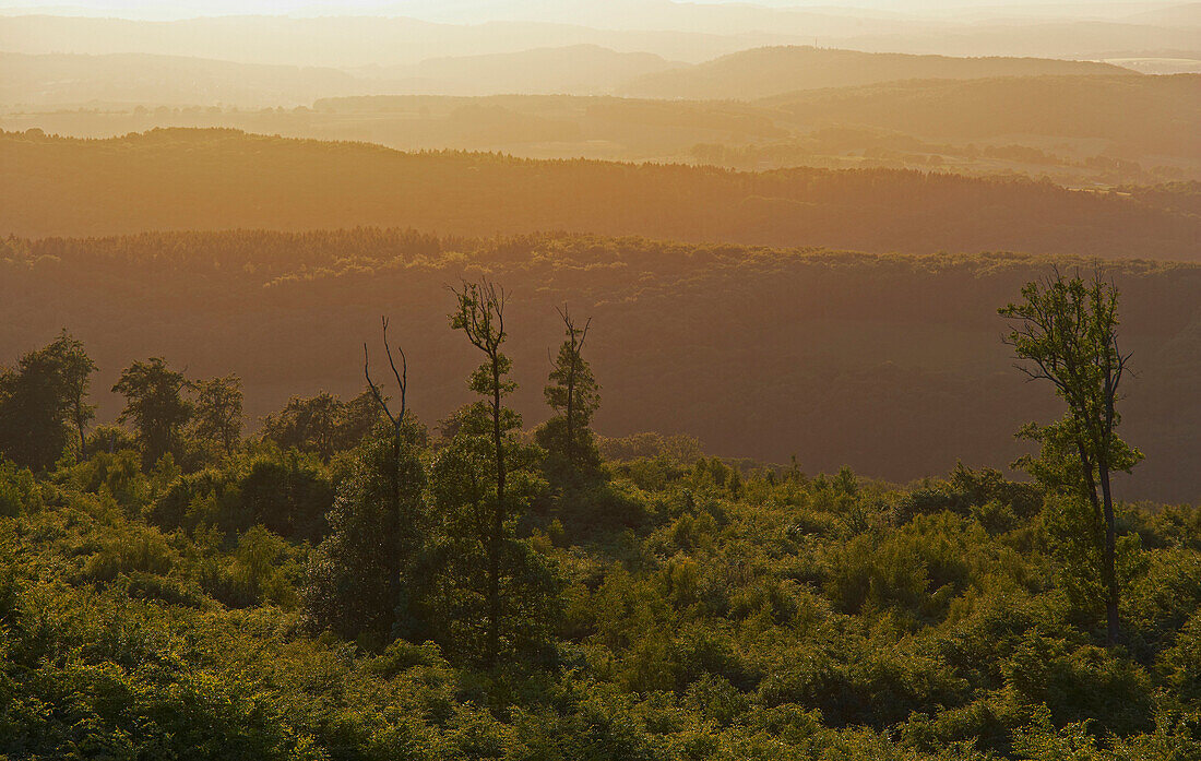 Blick vom Höcherbergturm Richtung Steinbach in der Abenddämmerung, Saarland, Deutschland, Europa