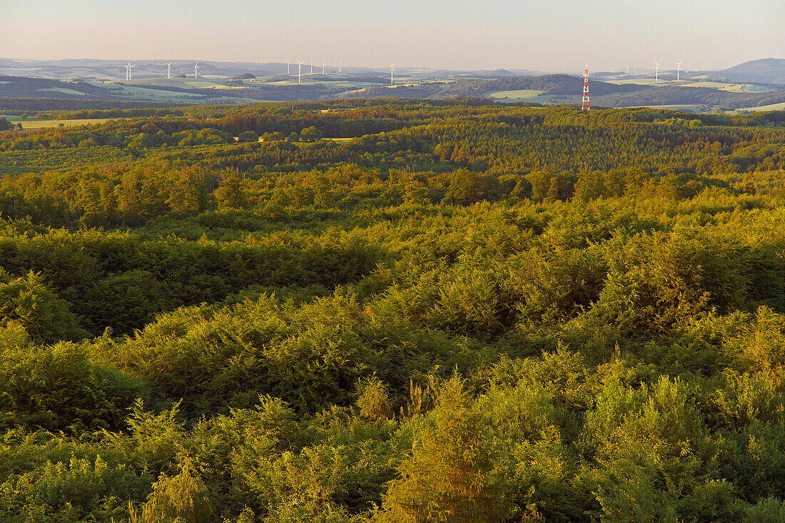 Blick vom Höcherbergturm auf Landschaft im Abendlicht, Richtung Schwarzwald, Saarland, Deutschland, Europa