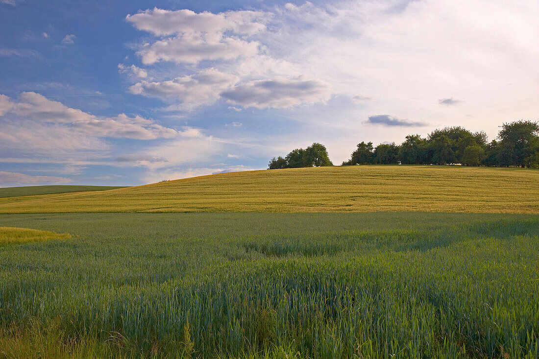 Felder unter Wolkenhimmel bei Tholey, Saarland, Deutschland, Europa