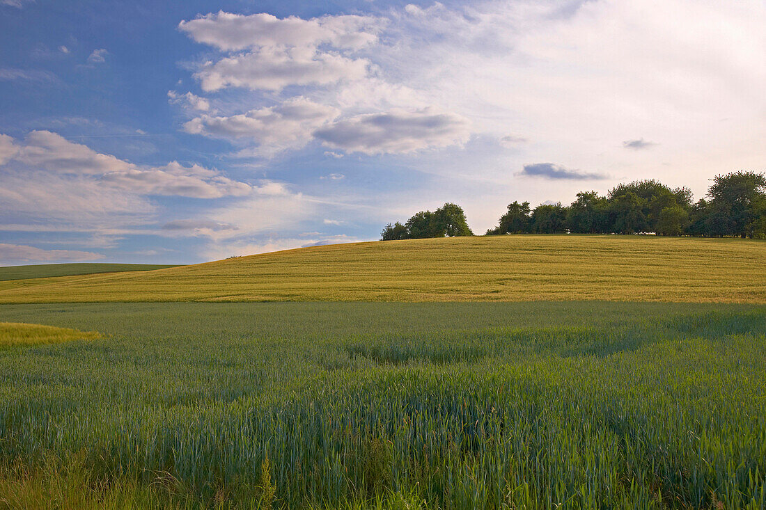 Fields under clouded sky at Tholey, Saarland, Germany, Europe