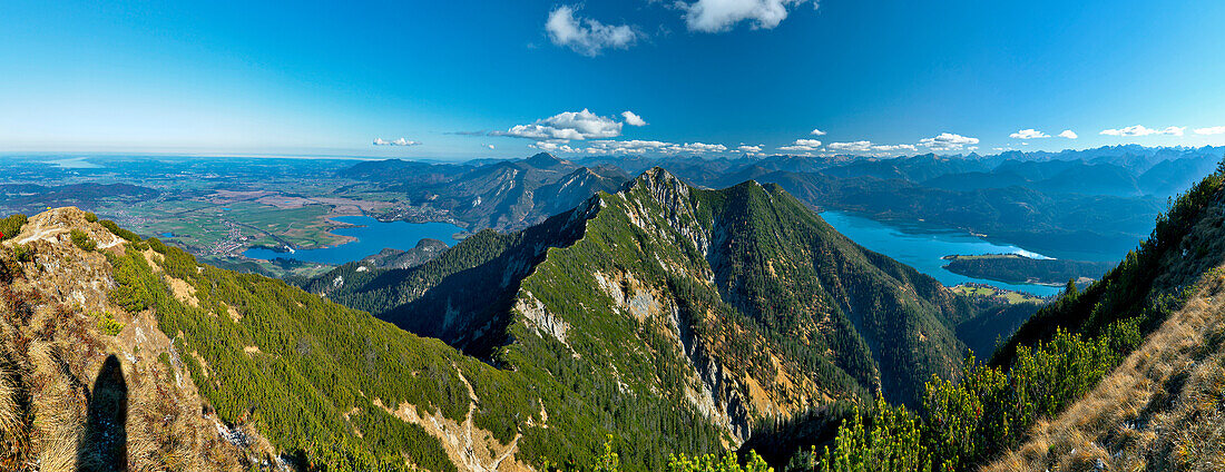 Blick vom Herzogstand auf Walchensee und Bayerische Alpen, Oberbayern, Bayern, Deutschland