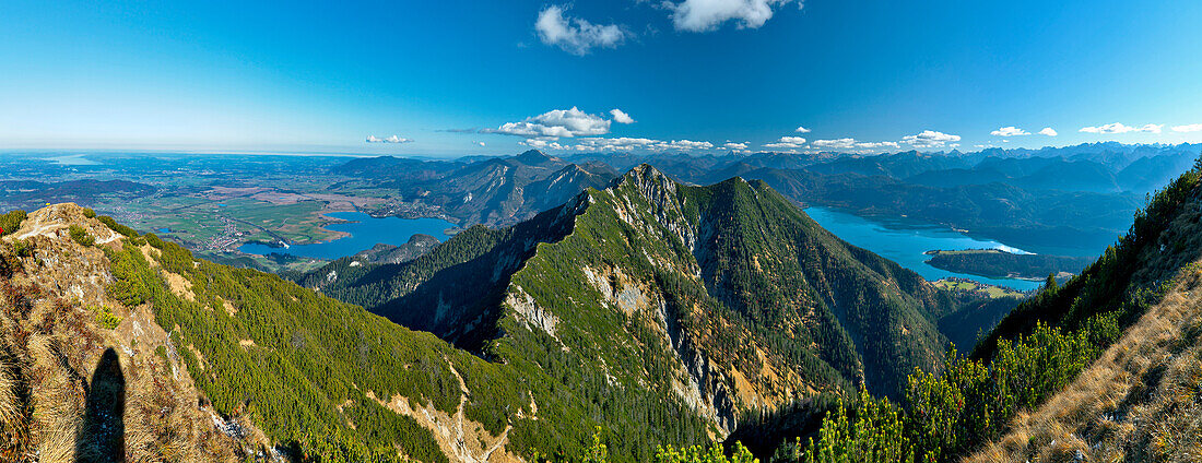View from mount Herzogstand over Lake Walchen and Bavarian Alps, Upper Bavaria, Germany