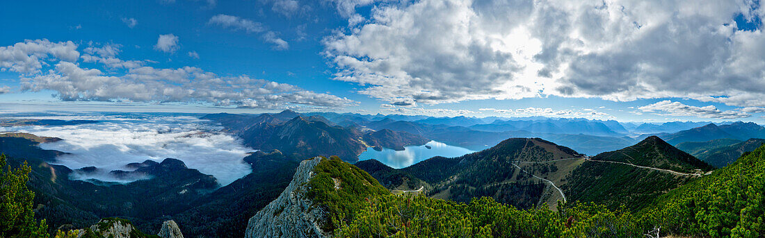 View from mount Herzogstand over Lake Walchen and Bavarian Alps, Upper Bavaria, Germany
