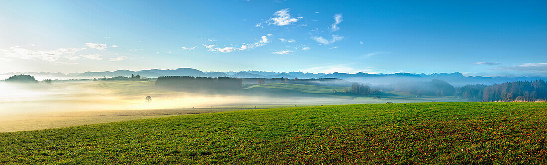 Landschaft im Morgennebel bei Degerndorf, Münsing, Starnberger See, Oberbayern, Bayern, Deutschland