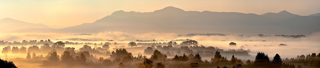 Scenery in early morning fog, Uffing, lake Staffelsee, Upper Bavaria, Germany