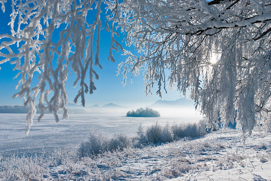 Winter scenery at lake Staffelsee with Muehlwoerth island, Uffing, Upper Bavaria, Germany