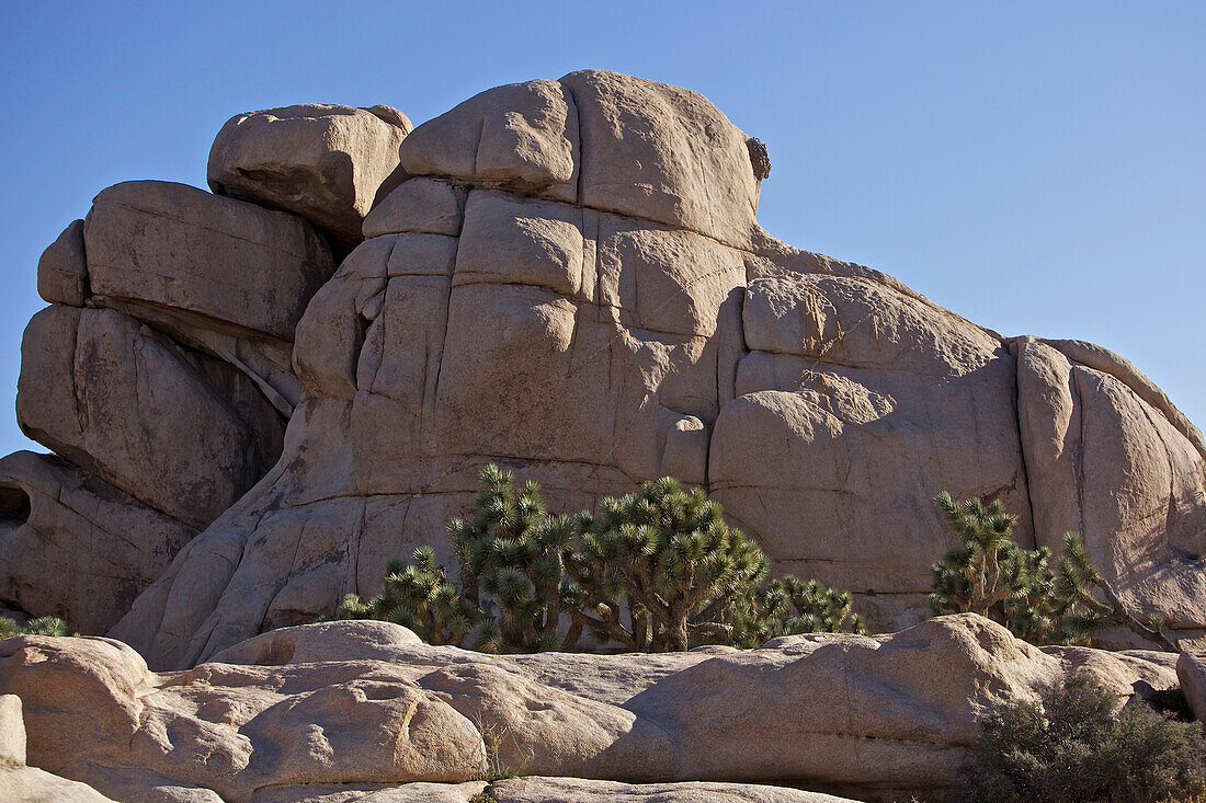 Interessante Felsenformation im Joshua Tree National Park, Joshua Tree National Park, Kalifornien, USA