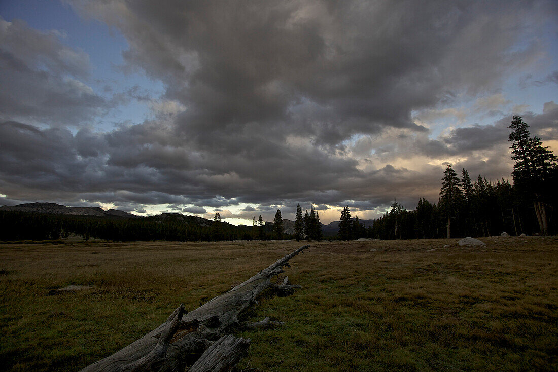 Beautiful nature in the Tioga Pass area after a storm, Yosemite National Park, California, USA