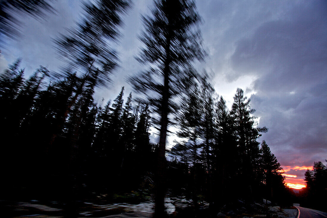 View out of a car on the Tioga Pass Road, Yosemite National Park, California, USA