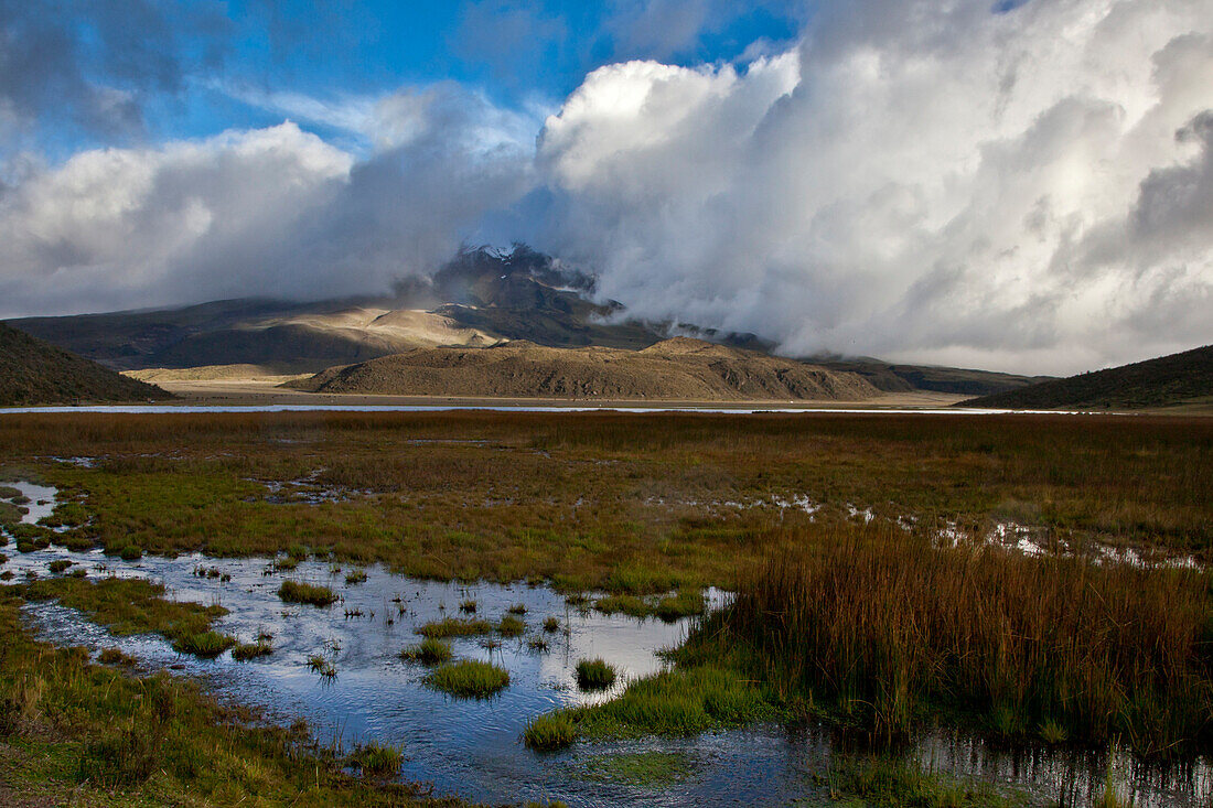 Mist and clouds on Cotopaxi (5897m), in the foreground: Limpiopungo Lagoon, Andes, Ecuador, South America