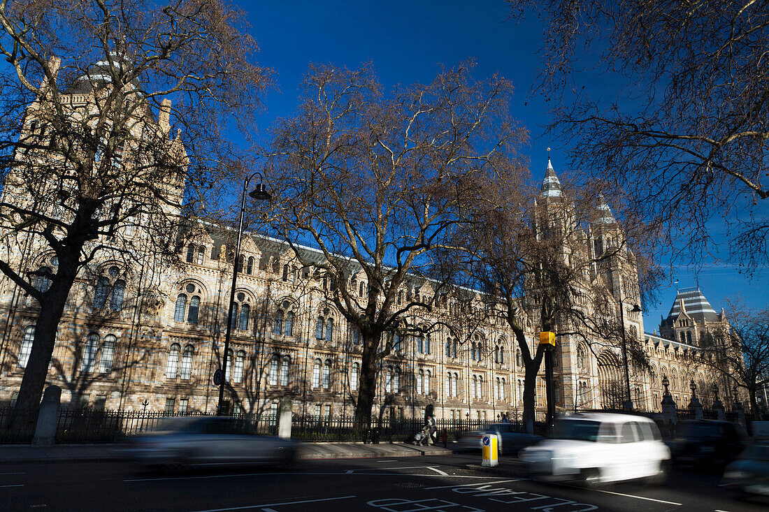 The Natural History Museum, Cromwell Road, London, South Kensington, England, Great Britain