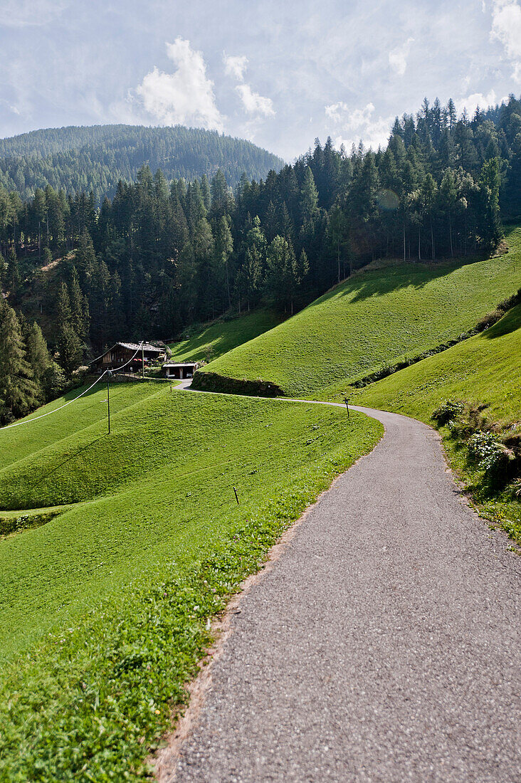 Path leading to a farmhouse, Ulten valley, South Tyrol, Italy