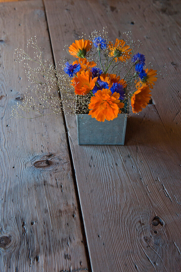 Stilleben, Ringelblumen und Kornblumen auf Holztisch