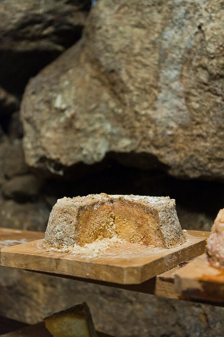 Strong flavoured grey cheese, Eggerhoefe, South Tyrol, Italy