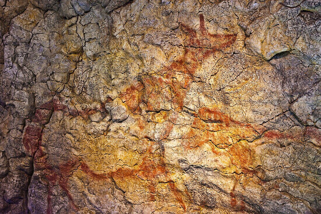 Reproduction of paintings of El Pendo Cave in National Museum and Research Center of Altamira  Horse, deer  Between 22, 000 and 18, 000 years ago  Altamira Neo Cave  UNESCO World Heritage  Santillana del Mar  Cantabria  SPAIN