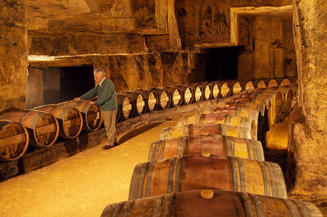 Subterranean Wine Cellar in Chateau Belair Premier Grand Cru Classe  St  Emilion Dordogne Valley  Bordeaux  Aquitaine France