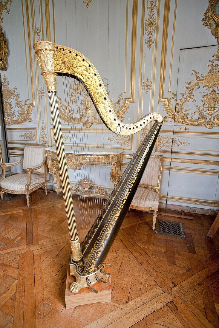 France-August 2010 Picardy Villandry Chateaux W H  Conde Museum Harp.
