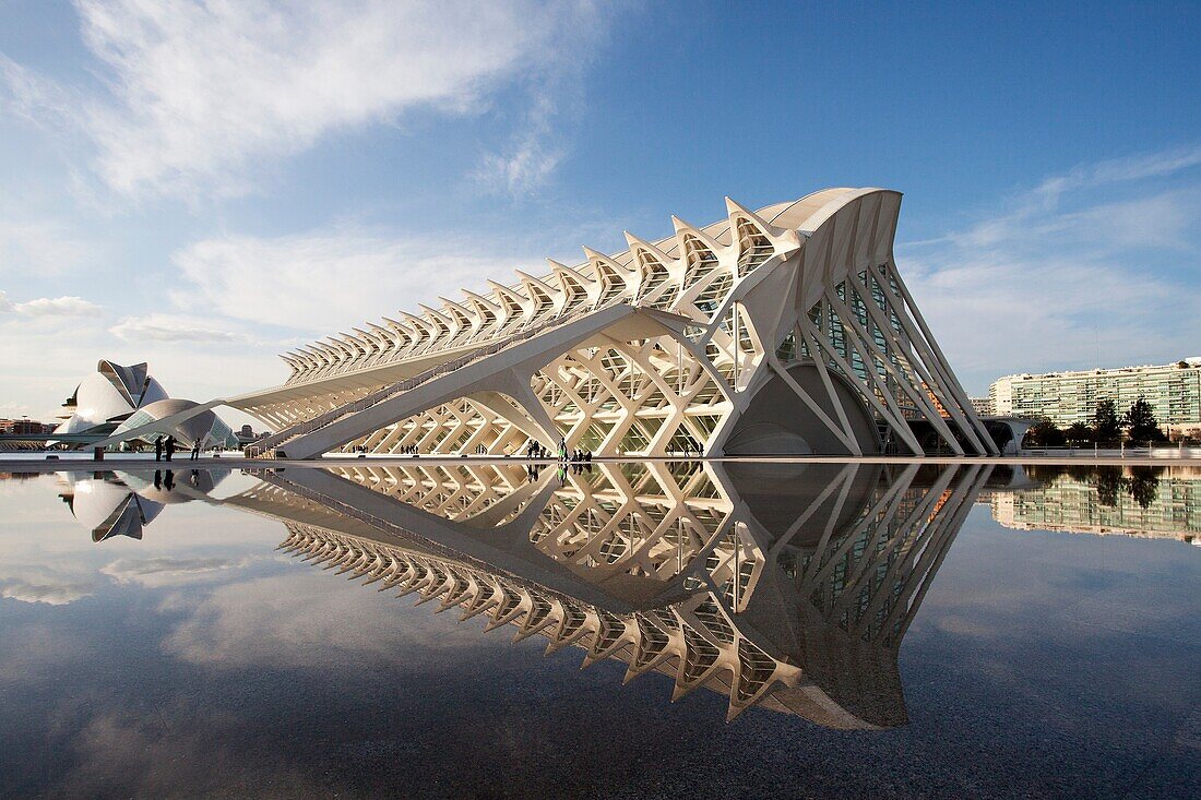 Spain-Valencia Comunity-Valencia City-The City of Arts and Science built by Calatrava