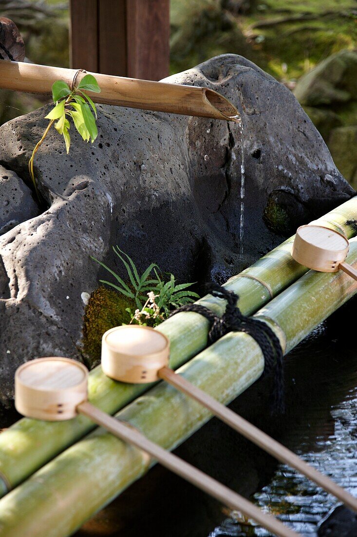 Japanischer Bambusbrunnen, Wara Tenjin Schrein, Kyoto, Japan.