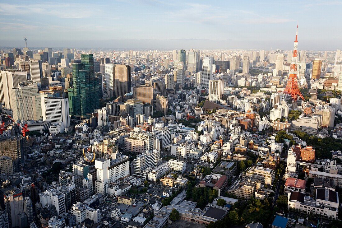 Stadtansicht Tokio, Roppongi Hills Mori Tower, Tokio, Japan.