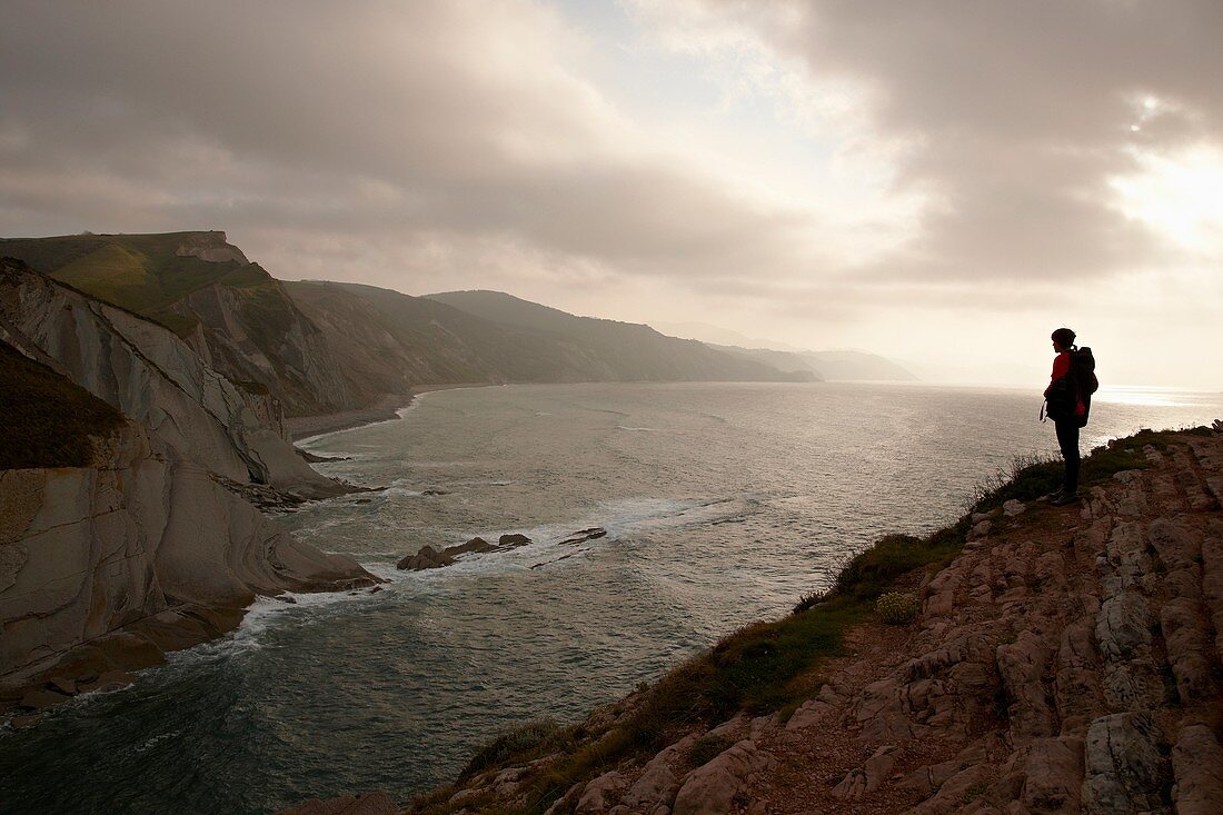 Algorri, Rasa mareal Flysch, Zumaia, Gipuzkoa, Euskadi, Spanien.