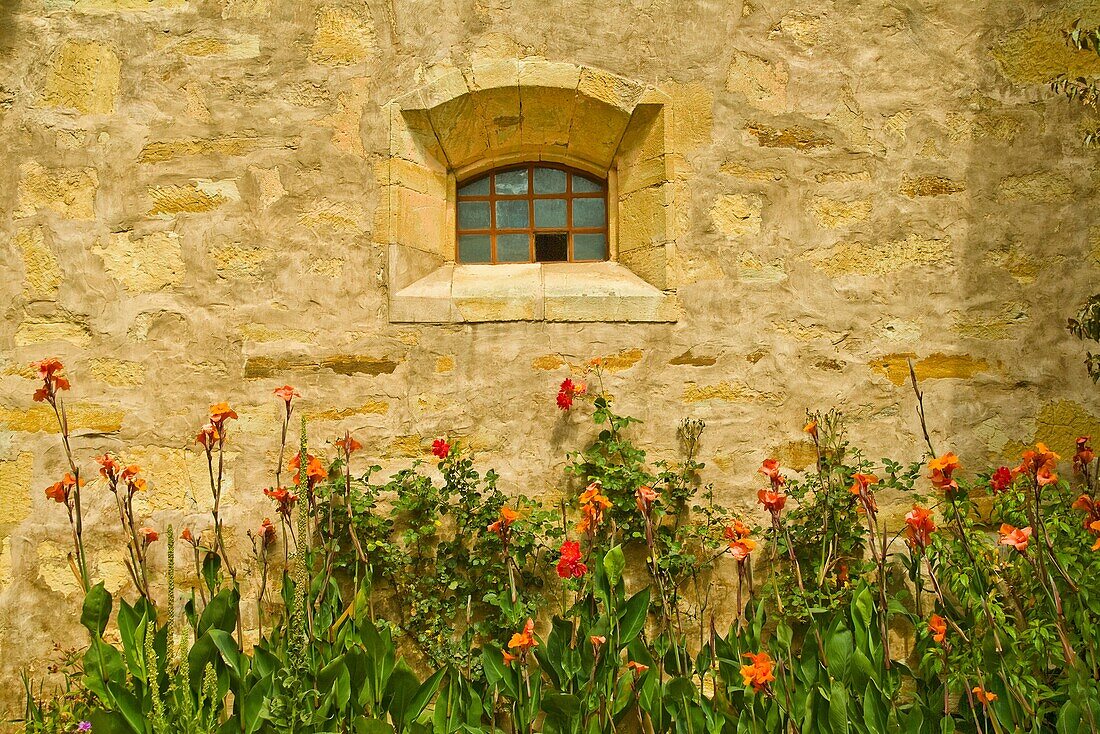 Historic San Carlos Mission, 1771