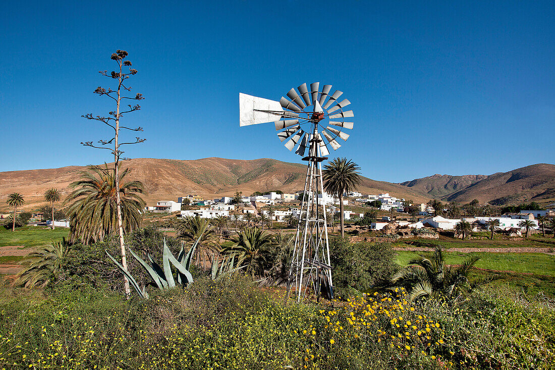 Windrad im Bergdorf Toto, Fuerteventura, Kanarische Inseln, Spanien