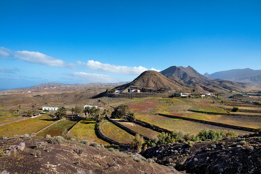 Berg Cardon, Corrales de las Hermosas, Fuerteventura, Kanarische Inseln, Spanien