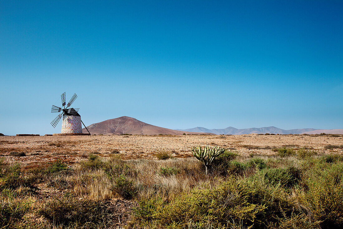 Windmühle, Molino de Tefia, Tefia, Fuerteventura, Kanarische Inseln, Spanien