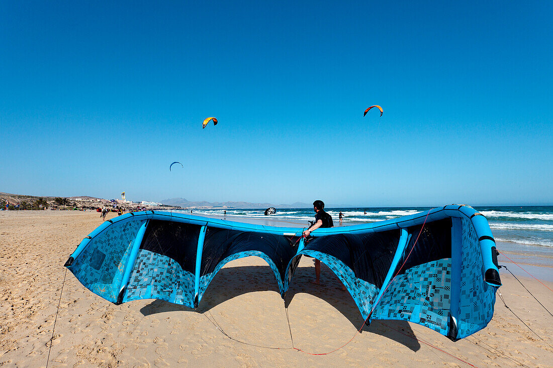 Kite surfer at beach, Playa Barca, Playa de Sotavento, Fuerteventura, Canary Islands, Spain