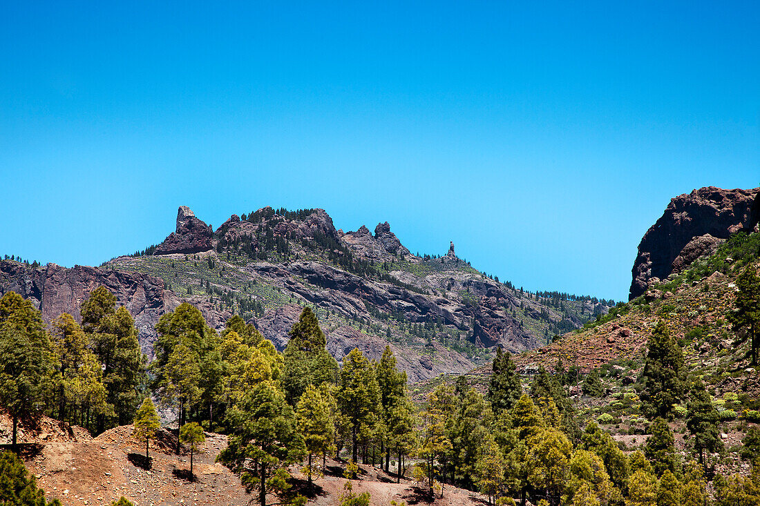 Berglandschaft, Gran Canaria, Kanarische Inseln, Spanien