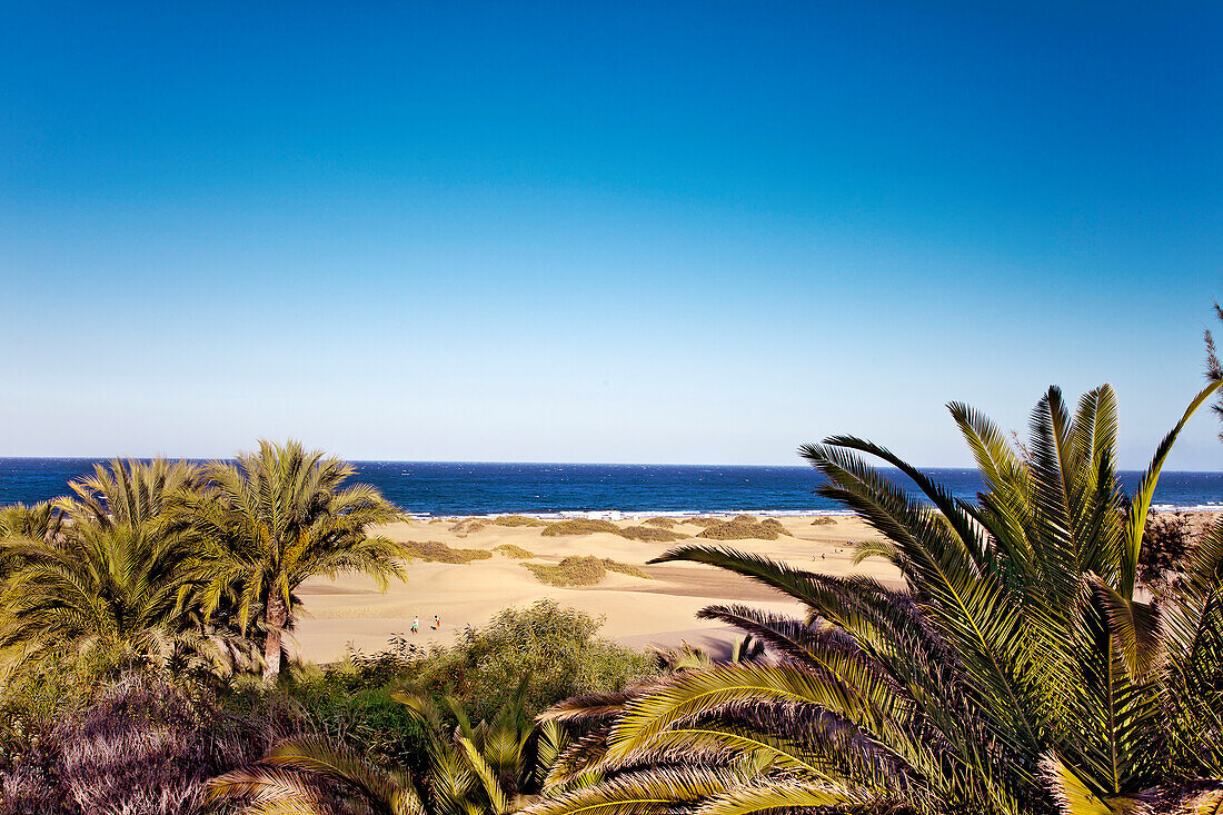 Sand dunes of Maspalomas, Gran Canaria, Canary Islands, Spain