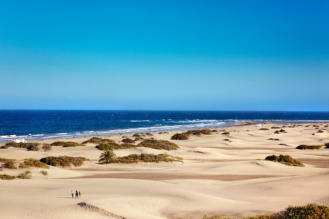 Sand dunes of Maspalomas, Gran Canaria, Canary Islands, Spain