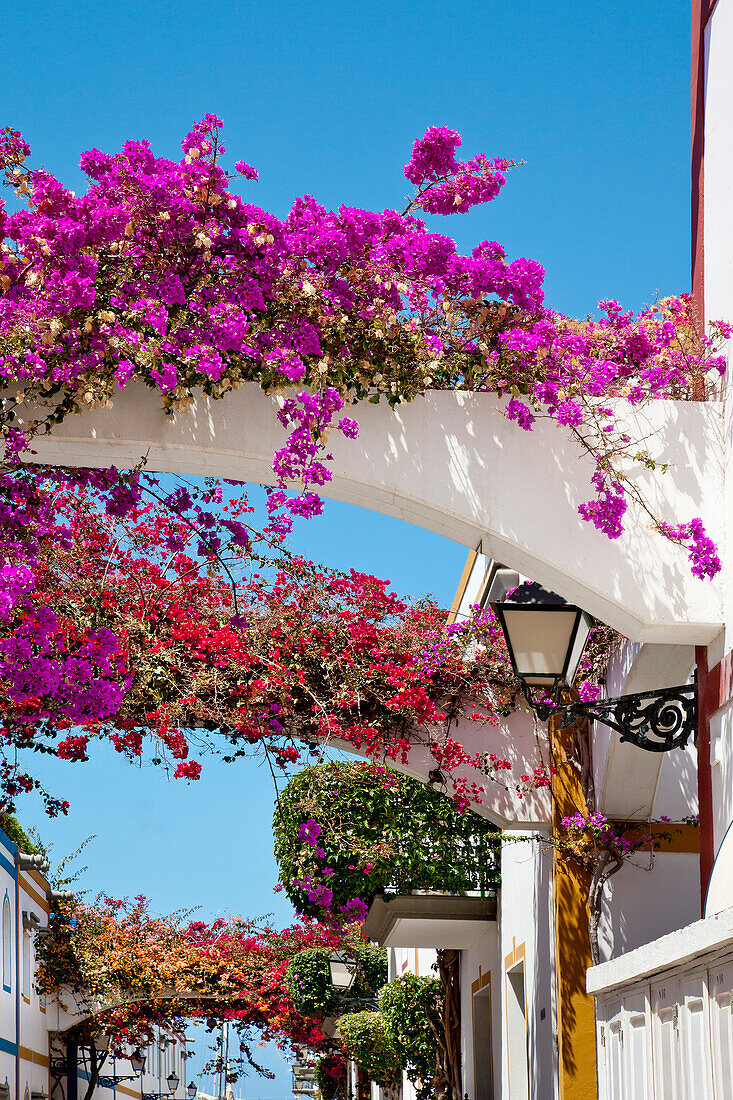 Häuser mit Blumen, Puerto de Mogan, Gran Canaria, Kanarische Inseln, Spanien, Europa