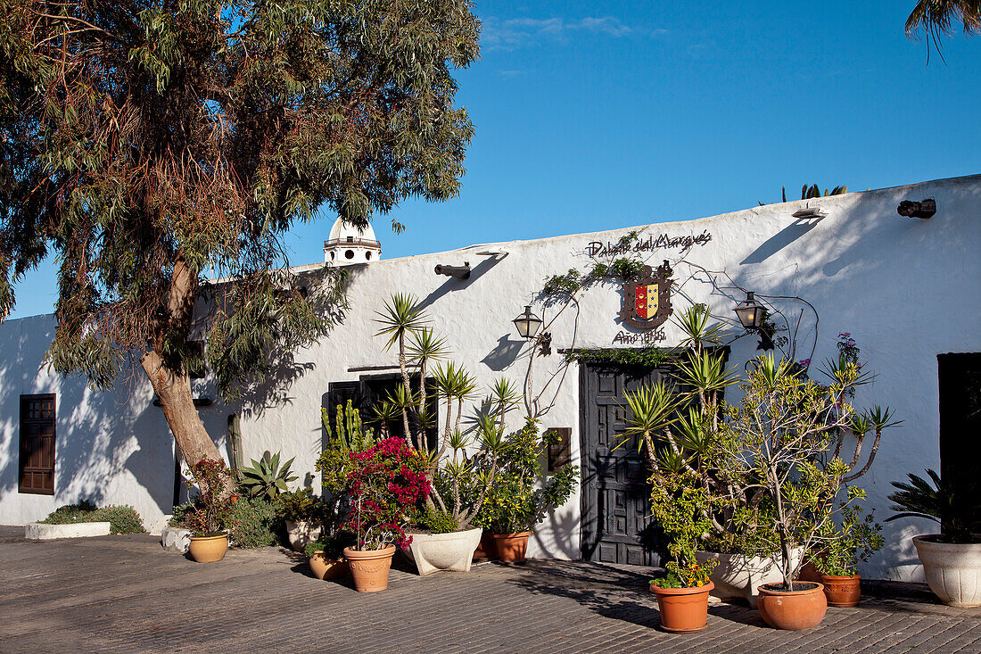 Pflanzen vor einem Haus, Teguise, Lanzarote, Kanarische Inseln, Spanien, Europa