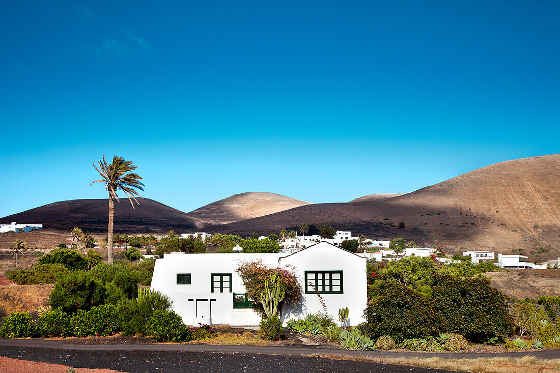 House and palm tree, Uga, Lanzarote, Canary Islands, Spain, Europe