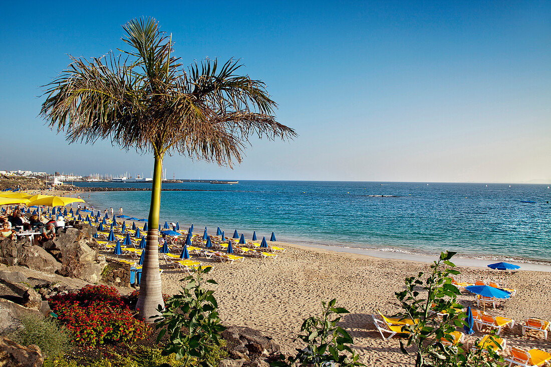 Strand Playa Dorada im Sonnenlicht, Playa Blanca, Lanzarote, Kanarische Inseln, Spanien, Europa