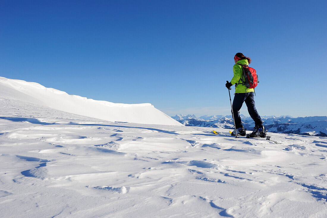 Frau steigt mit Tourenski zum Breiteck auf, Breiteck, Wildschönau, Kitzbüheler Alpen, Tirol, Österreich