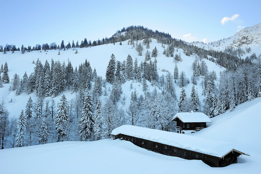 Snow covered alpine hut Koenigsalm with winter forest, Tegernseer range, Bavarian Prealps, Upper Bavaria, Bavaria, Germany